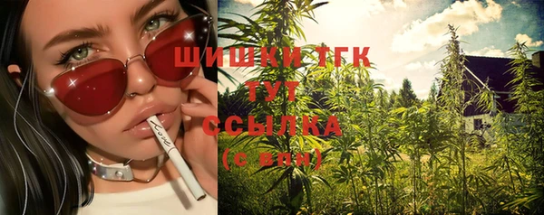 Альфа ПВП Пестово