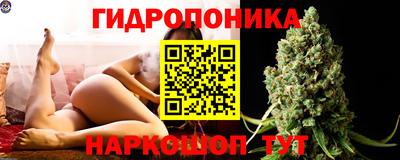 прущие грибы Кимры