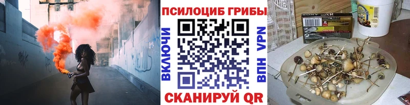 Псилоцибиновые грибы мицелий  Людиново 